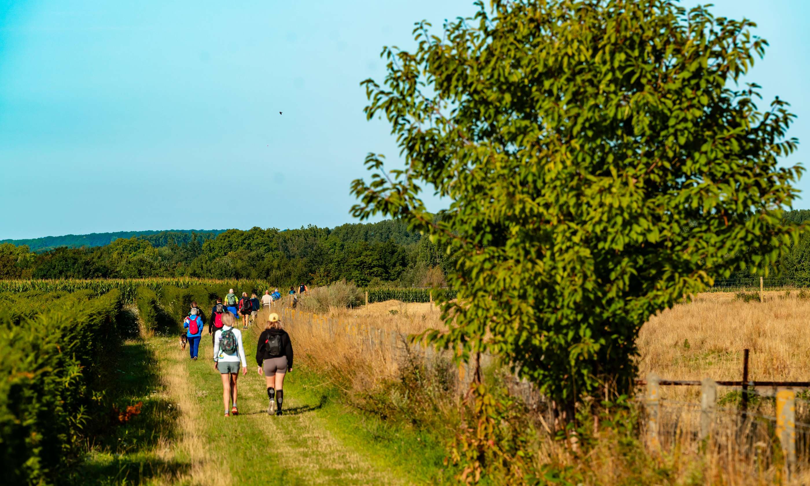 Wandelen met de wandelkalender van wandel.be
