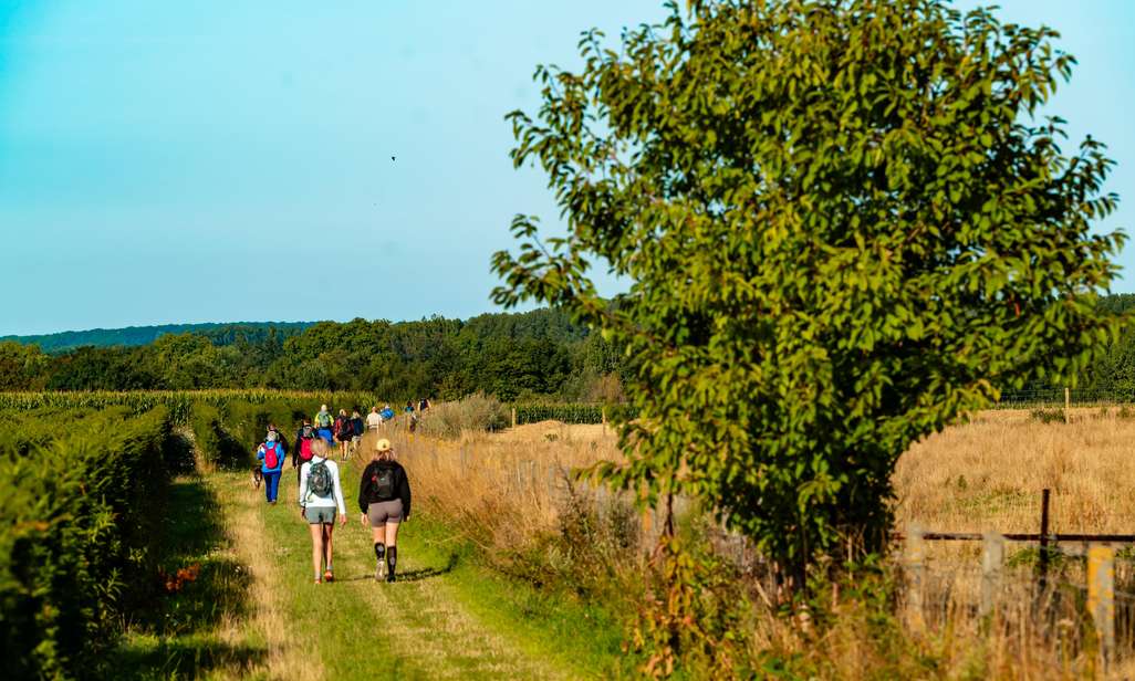 Wandelen met de wandelkalender van wandel.be