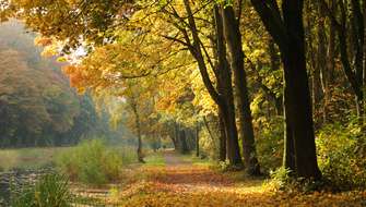 Palingbeek wandelroute in Ieper.