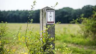 Wandelen op het wandelnetwerk Kempische Meren.