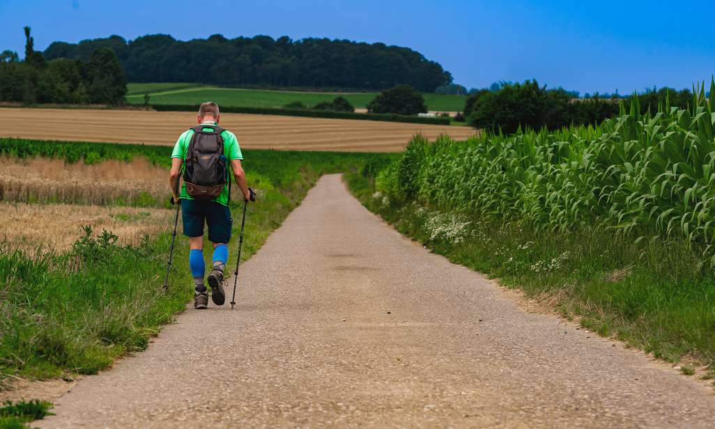 Links wandelen op de weg.