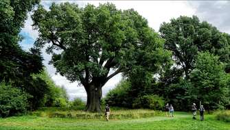 Wandelen in Lummen tijdens Dexsil Vlaanderen Wandelt.