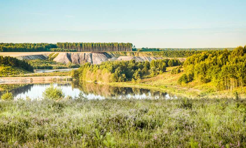 De mooiste wandelgebieden in Limburg.