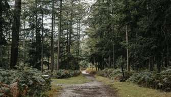 De mooiste herfstwandelingen in Vlaanderen.