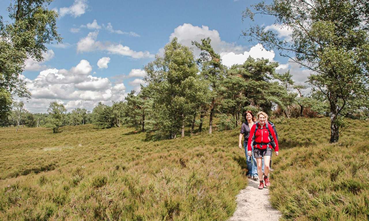 Wandelroute van het Jaar 2026 'Een wandeling rondom de Veluwe'.