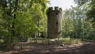 Wandelen in het Muziekbos.