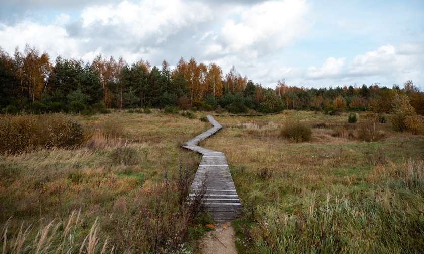 Wandelen in het Nationaal Park Hoge Kempen.