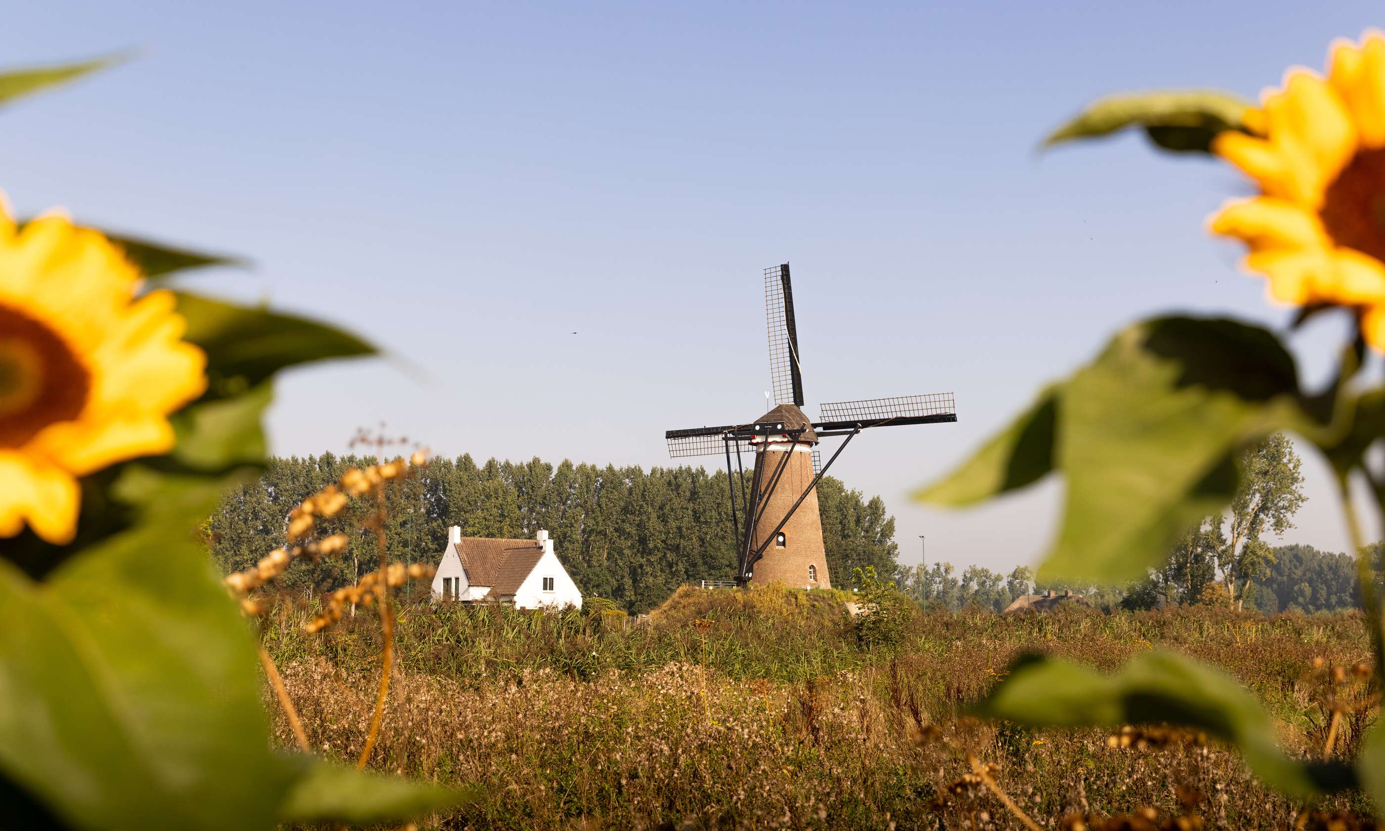 Wandelen in de voetsporen van Van Gogh in Nuenen.