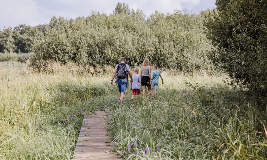 Wandelen in het Viersels Gebroekt in de Kleine Netevallei.