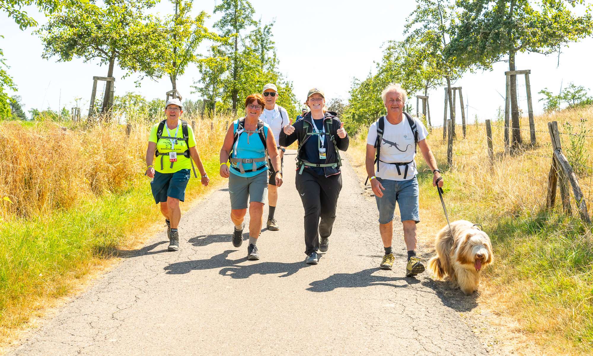 Wandelen met de hond