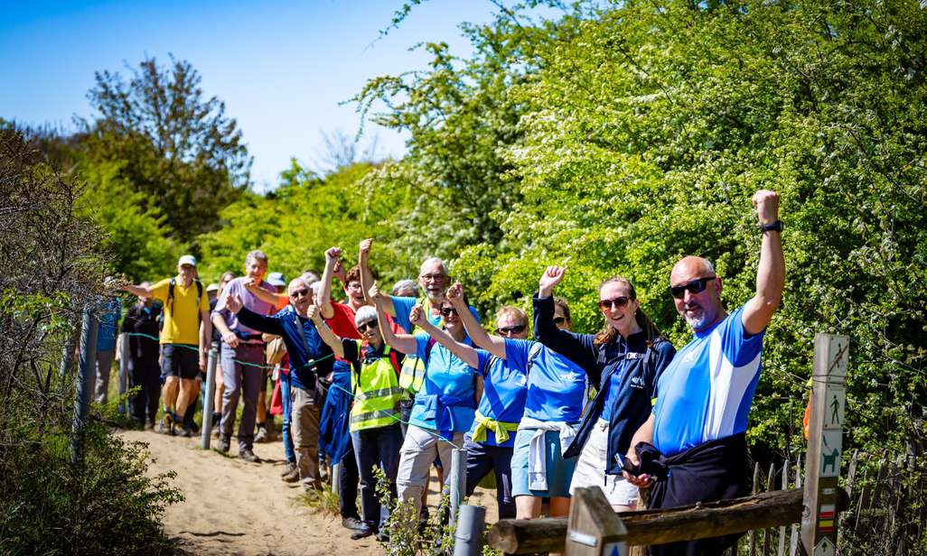 Wandelen Langs Fijne Picknickplekken