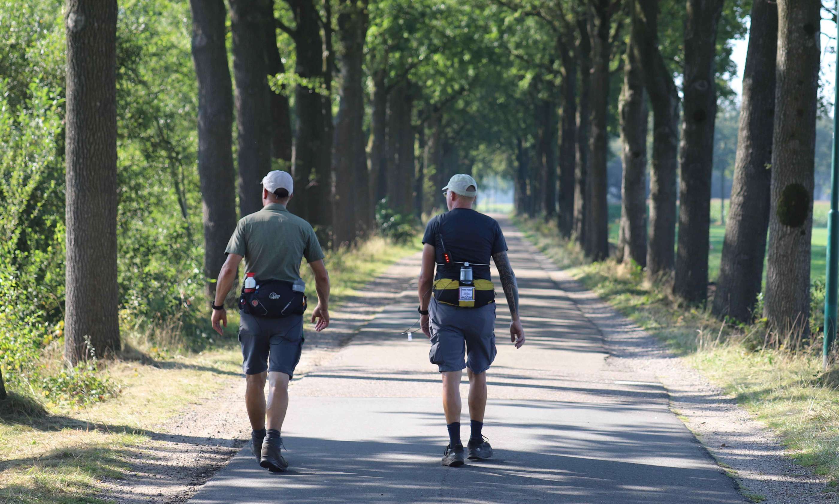 Wandelaars door bomen tijdens Vlucht 14-18