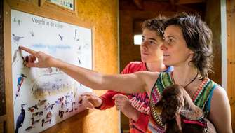 Wandelen in De Doode Bemde.