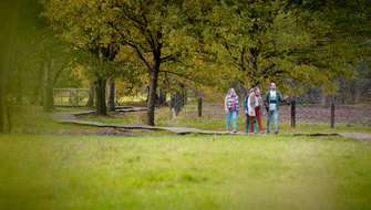 Wandelen in de Doode Bemde @Lander Loeckx.