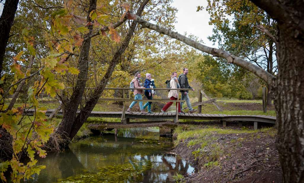 Wandelen in natuurgebied Doode Bemde.