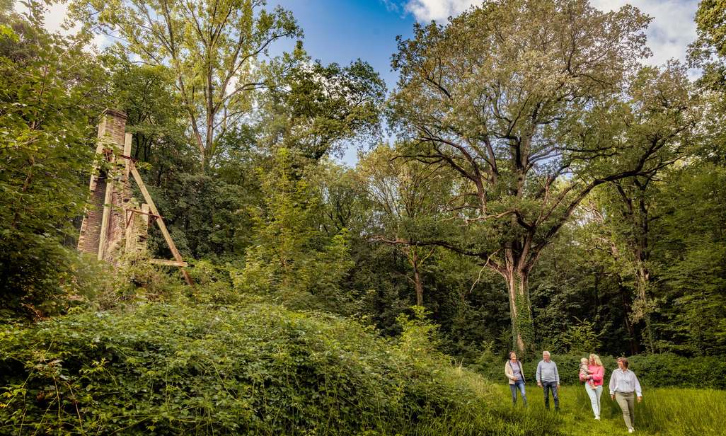 Wandelen in het Couthofbos op het wandelnetwerk Hoppeland.