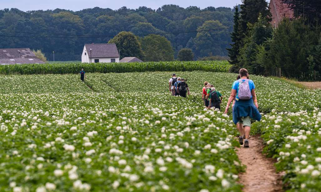 Wandelen op de Taalgrenstrail van Flanders Trails.