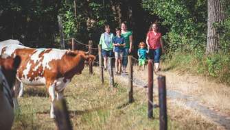 Wandelen in Vlaams-Brabant.