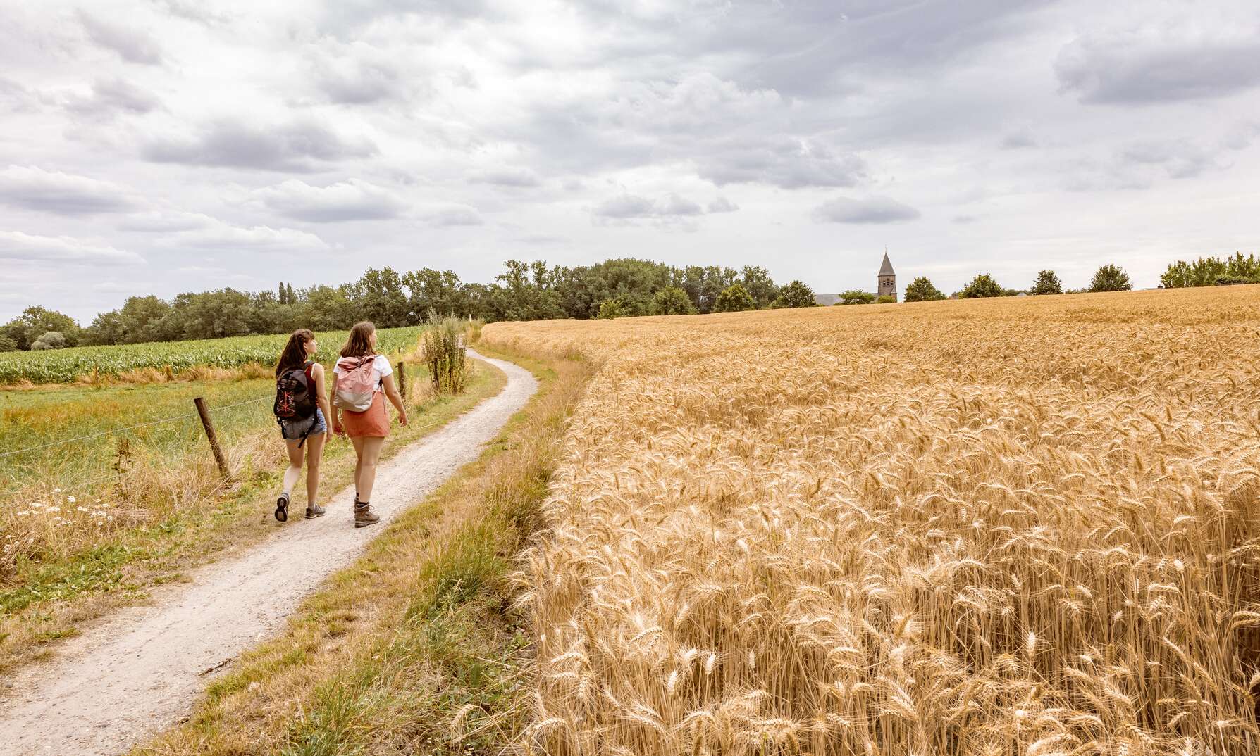 Wandelen op het wandelnetwerk Ieperboog Oost.