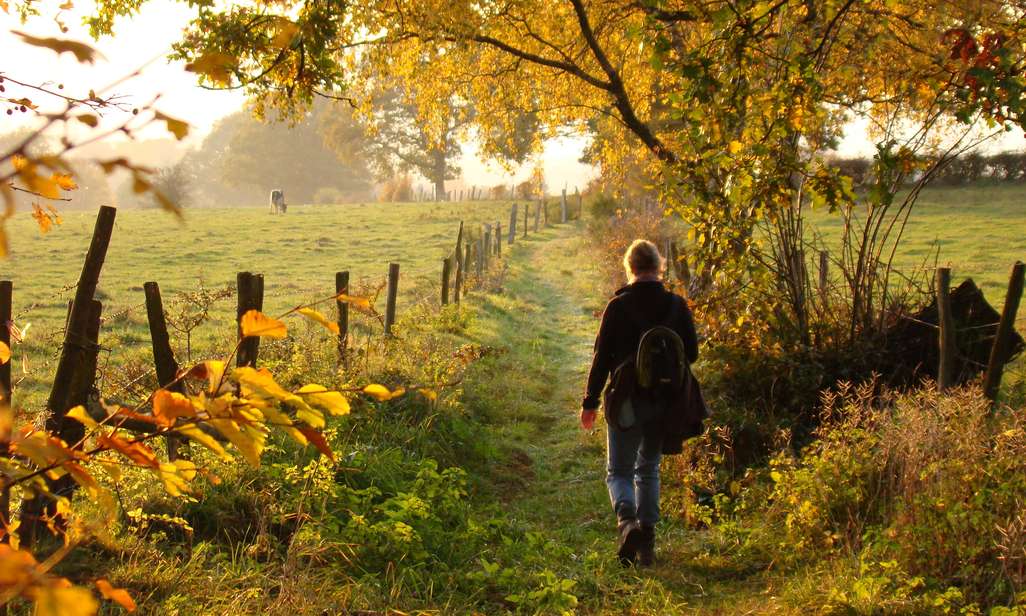 Wandelen tijdens Dag van de Trage Weg.