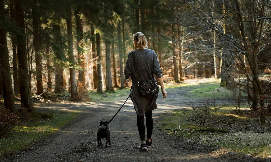 Waarom wandelen je meer veerkracht geeft.
