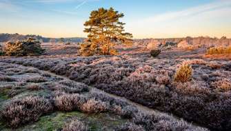 Wandelen in de winter.