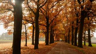 De mooiste herfstwandelingen in Vlaanderen.