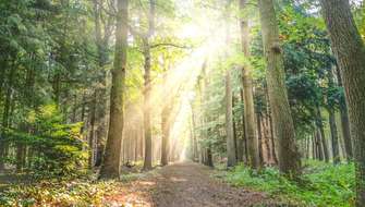 Wandelen in de zon.