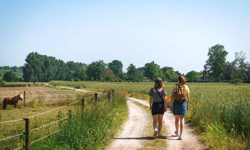 Wandelen in Dendermonde, Buggenhout, Lebbeke en Aalst