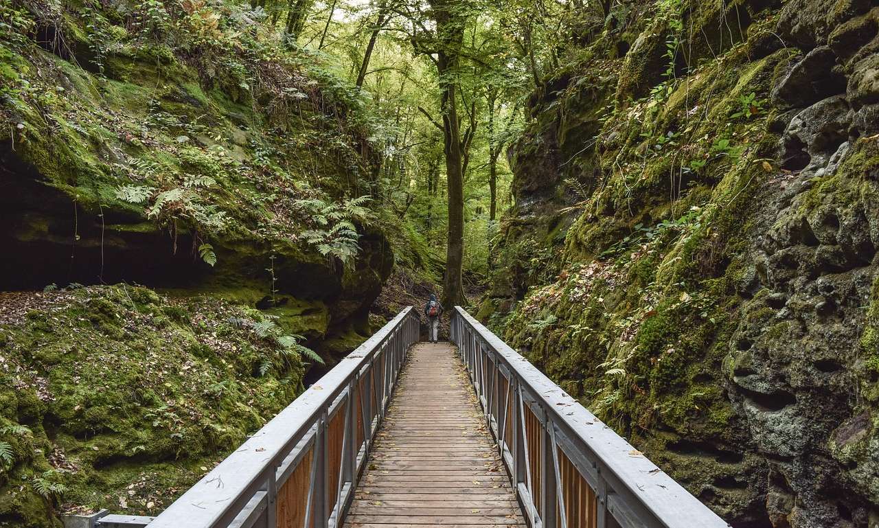 Wandelen net over de Belgische grens.