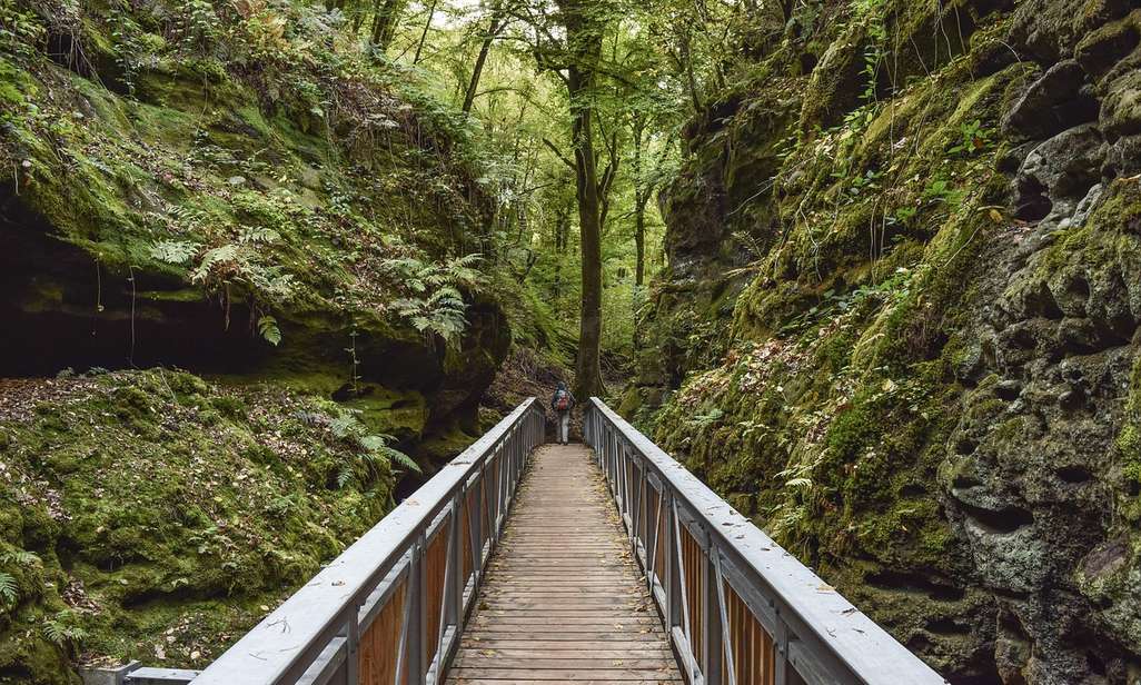 Wandelen net over de Belgische grens.