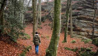Waarom wandelen je meer veerkracht geeft.