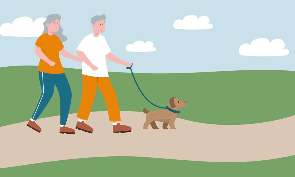 honden aan de leiband