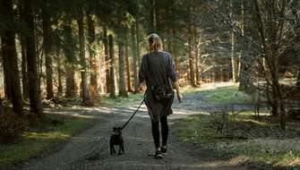 Wandelen in de warmte.