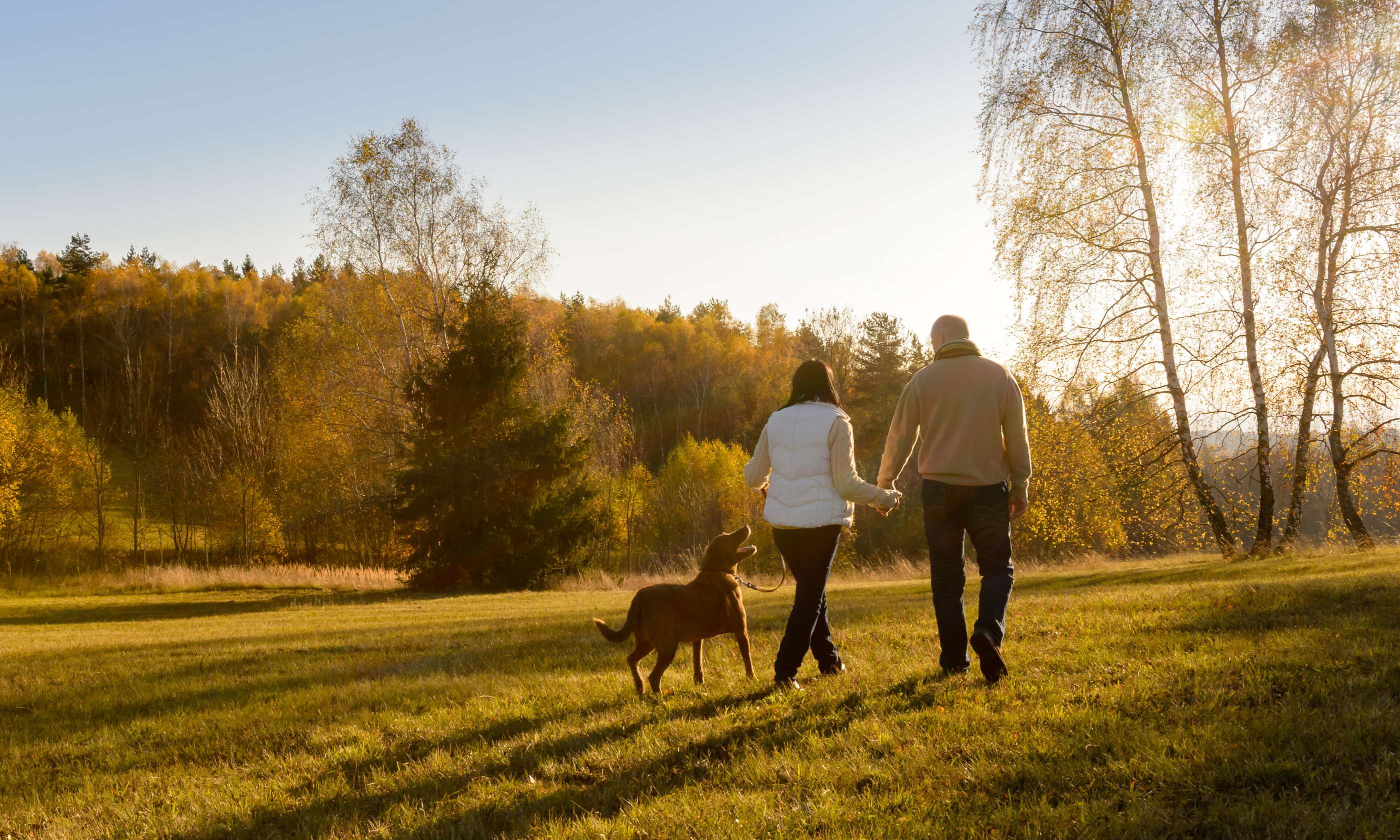 Wandelen bij Wandelsport Vlaanderen