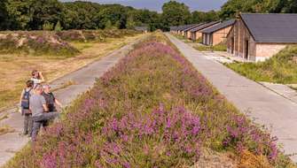Heide Vloethemveld