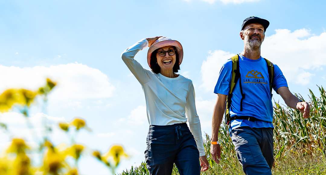 Wandelen in de zomer
